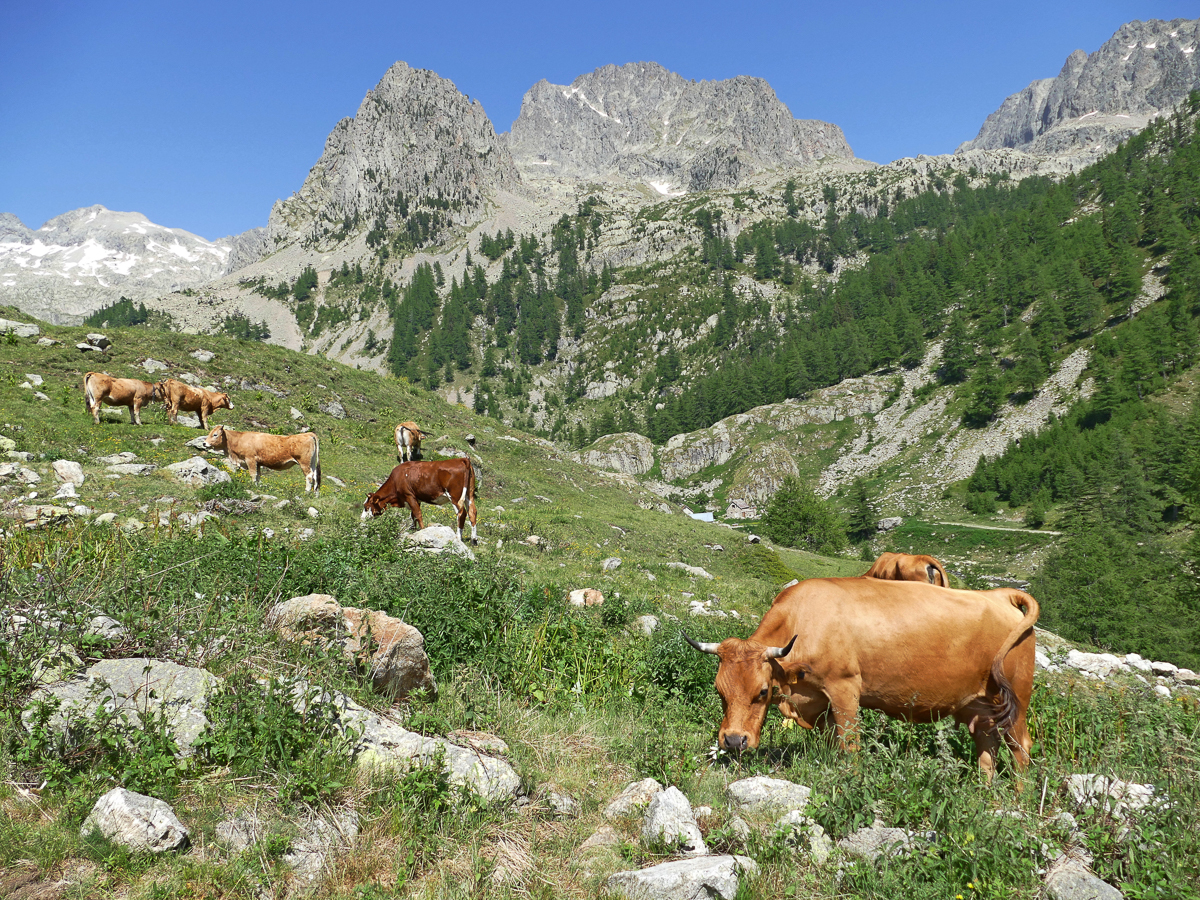 Martin Warren Martin Warren