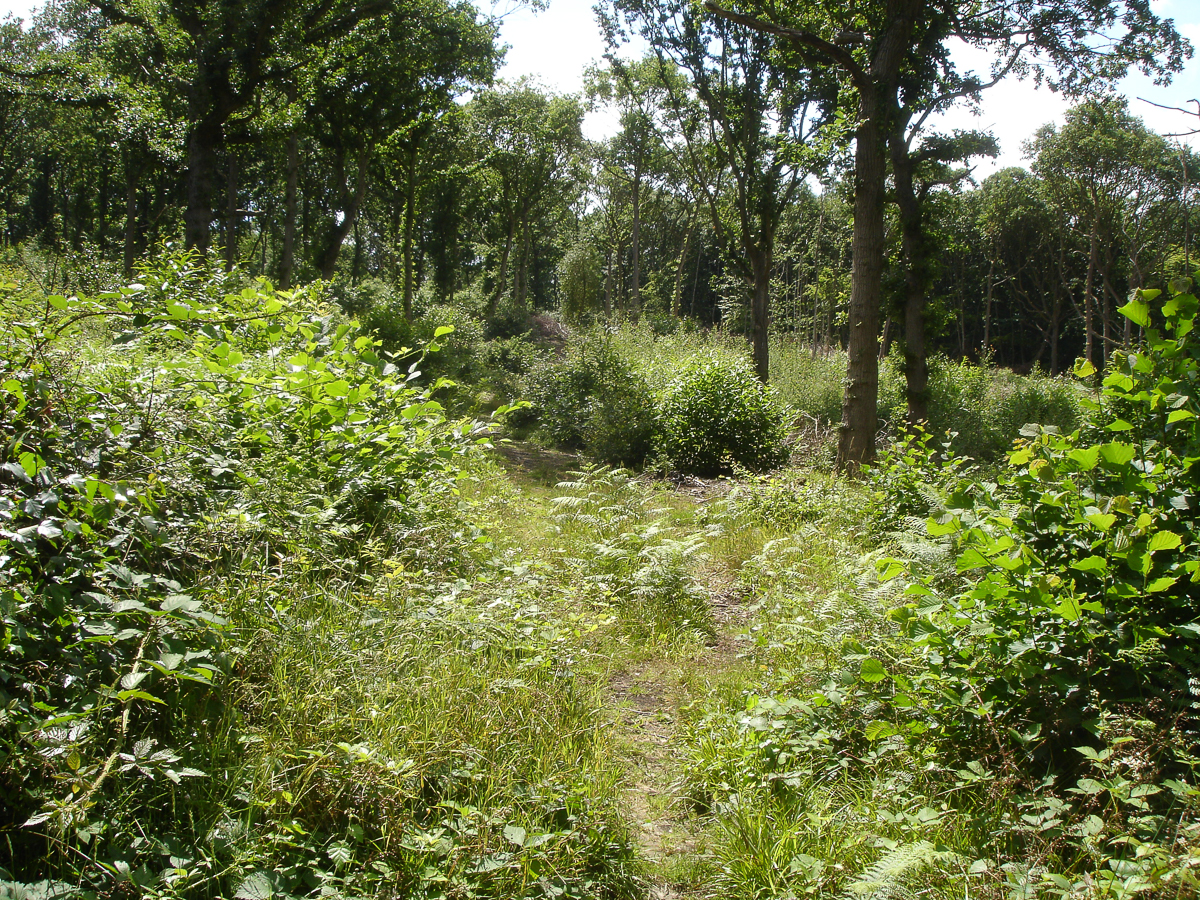 Martin Warren Martin Warren