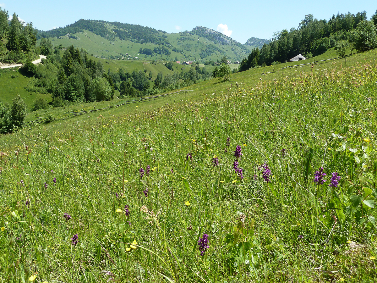 Martin Warren Martin Warren