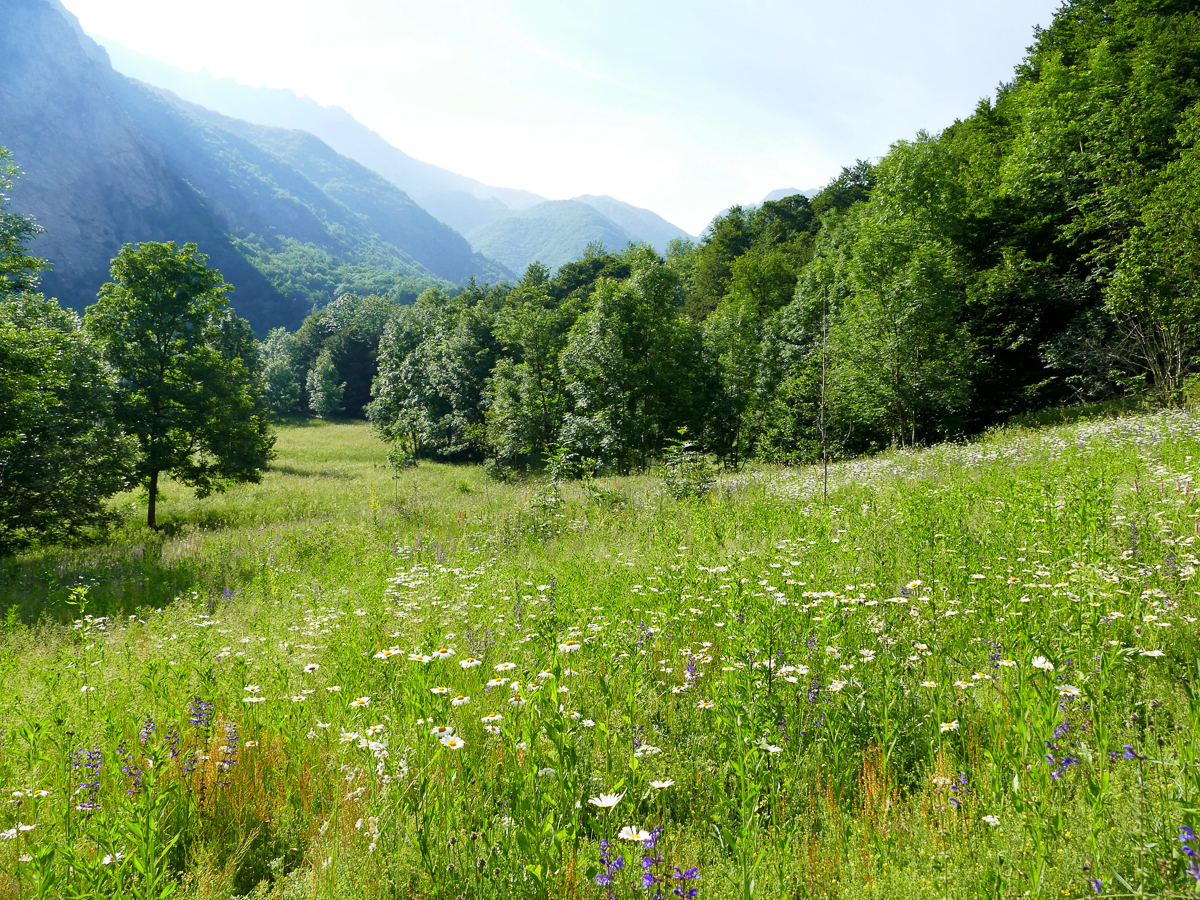 Martin Warren Martin Warren