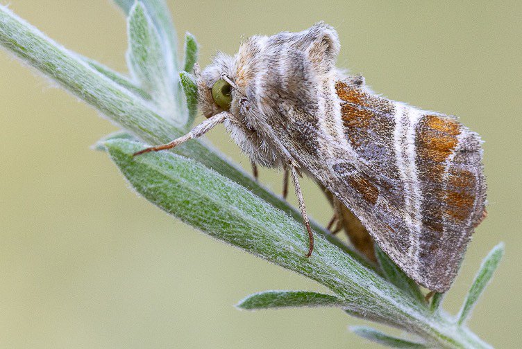 Jurrien van Deijk