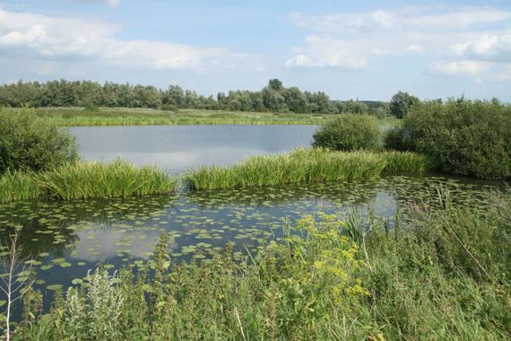 Kim Huskens. Locatie Erfkamerlingschap